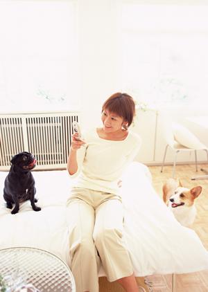 愛らしい犬を販売するブリーダー