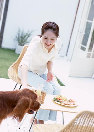 ペット保険で猫や犬を守りましょう